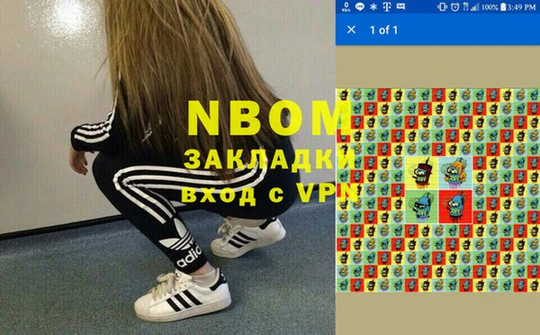 трава Арсеньев