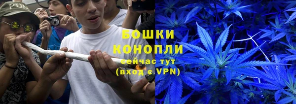 трава Арсеньев